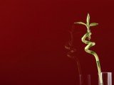 Variedad de colores en vidrios lacados