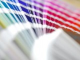 Colores y combinaciones de pintura
