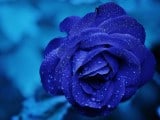Psicología del color: el azul