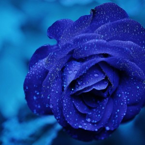 PsicologÃa del color: el azul
