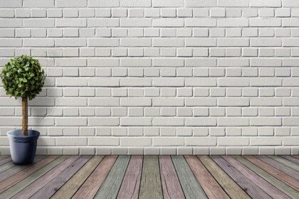 Pared de ladrillo blanco