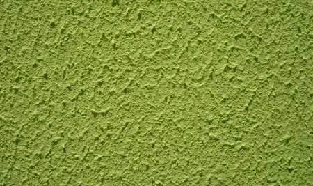 Revoque verde