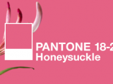 Madreselva es el color Pantone para 2011
