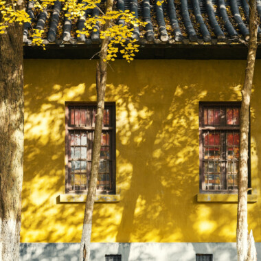 El color mostaza en la pintura de las paredes y la decoración