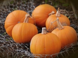 Pintura color calabaza