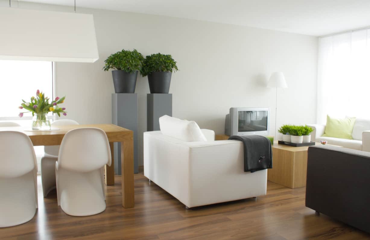 Salon decorado
