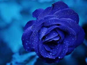 PsicologÃa del color: el azul