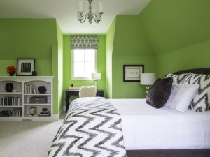 Greenery es el color del año 2017 de Pantone