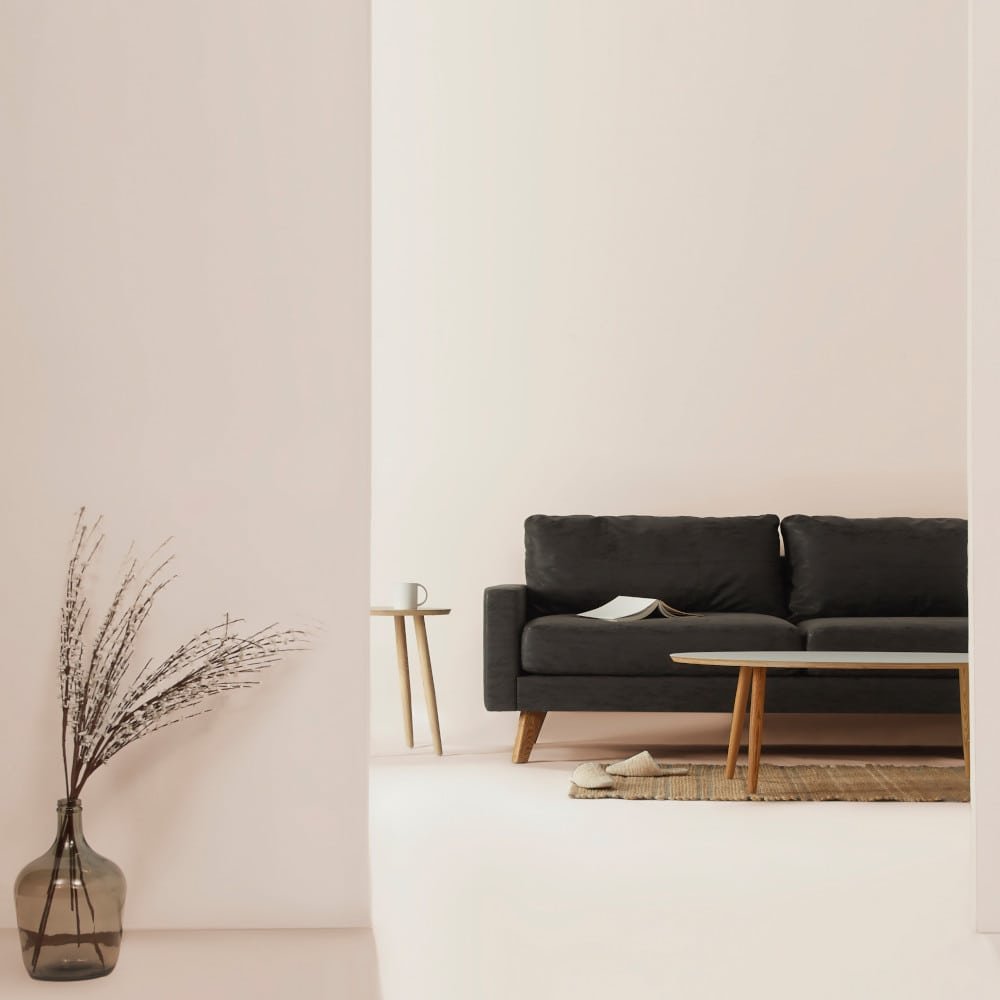 Cómo combinar pintura y decoración con tu sofá negro – PintoMiCasa.com