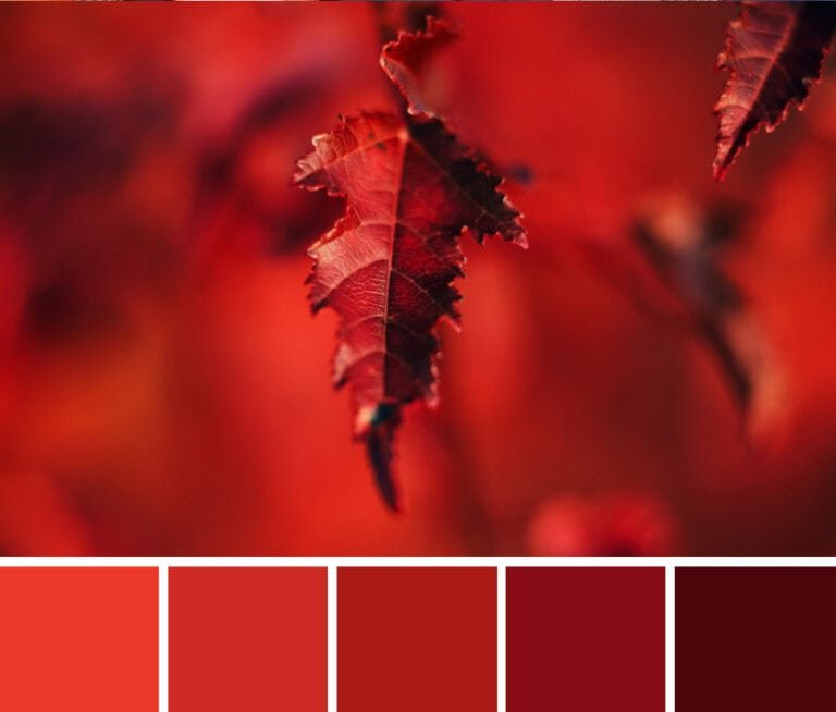 Paleta de colores Rojos, nombres de los tonos más populares