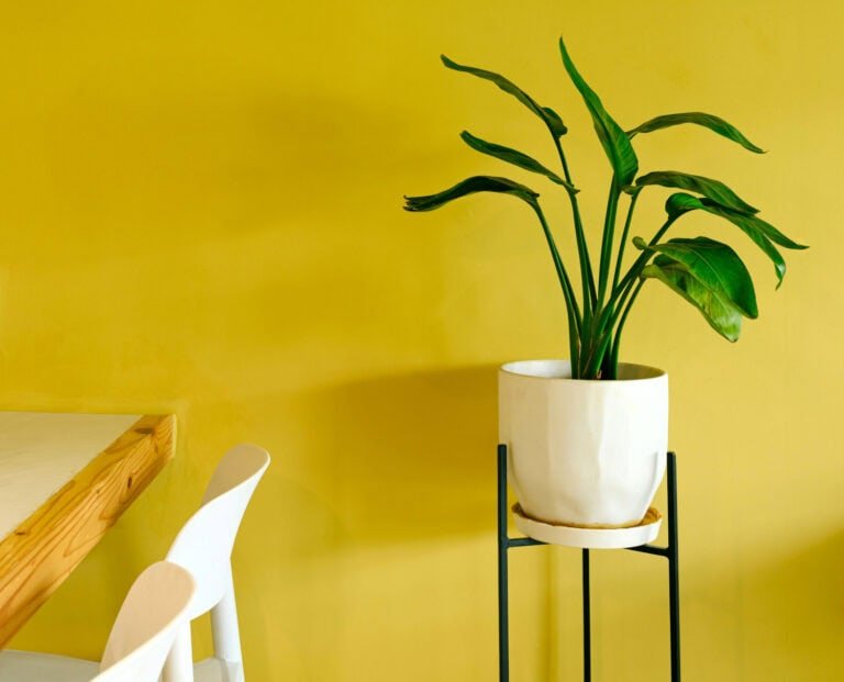 Colores de pintura amarillos: tipos, nombres y cómo usarlos en interiores